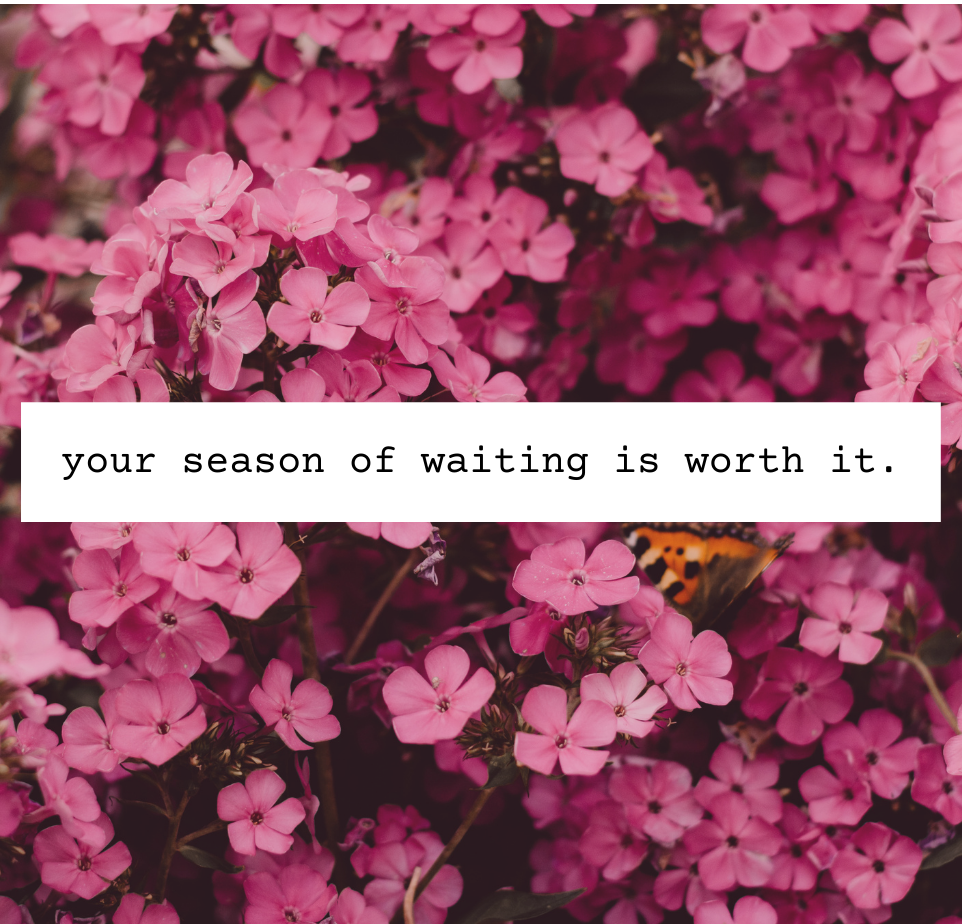 Seasons of Waiting